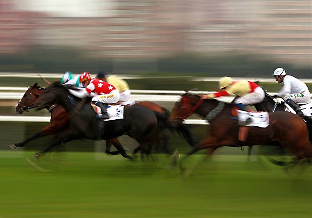 Agriculture and Horse Racing: An Unlikely Partnership
